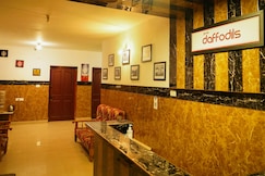 Daffodils nest, Ooty