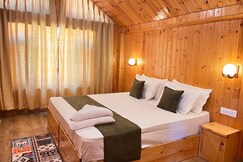 Pin N Peak, Manali
