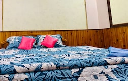 Deluxe Room Road View