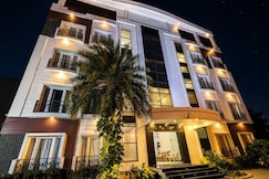 pine tree, Kanchipuram