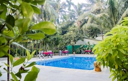 Swimming Pool 1