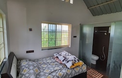 Blue Moon Farm Stay