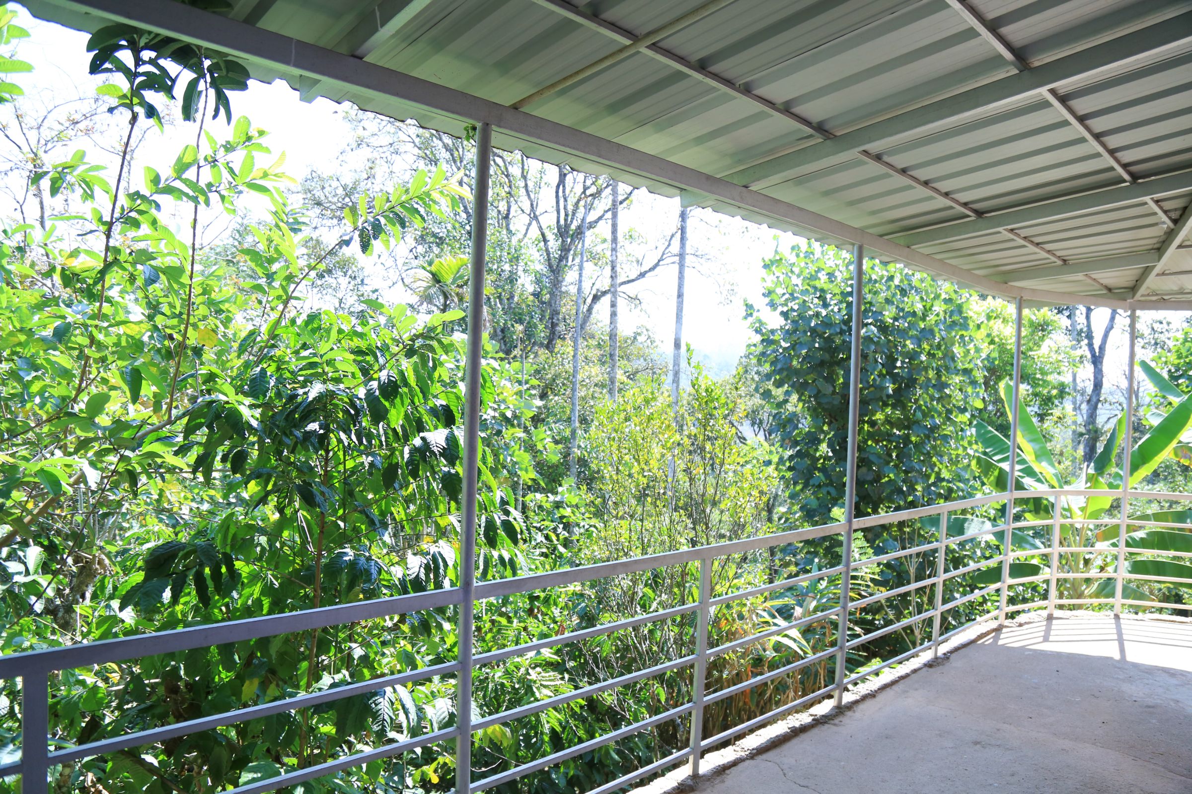 Jyothis Homestay - Tap to explore photos