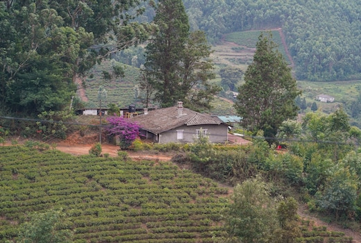 Madupatty Lakeview Cottage