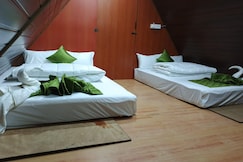 Hill forest Yelagiri, Yelagiri