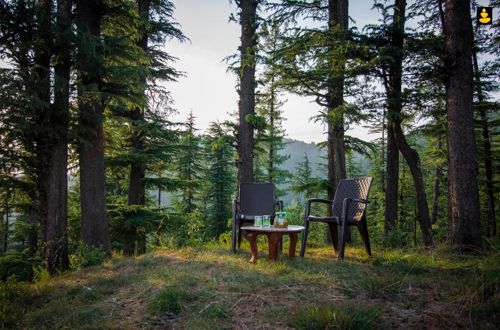 Livingstone Countryside Apple Orchard Shimla Cottage Price