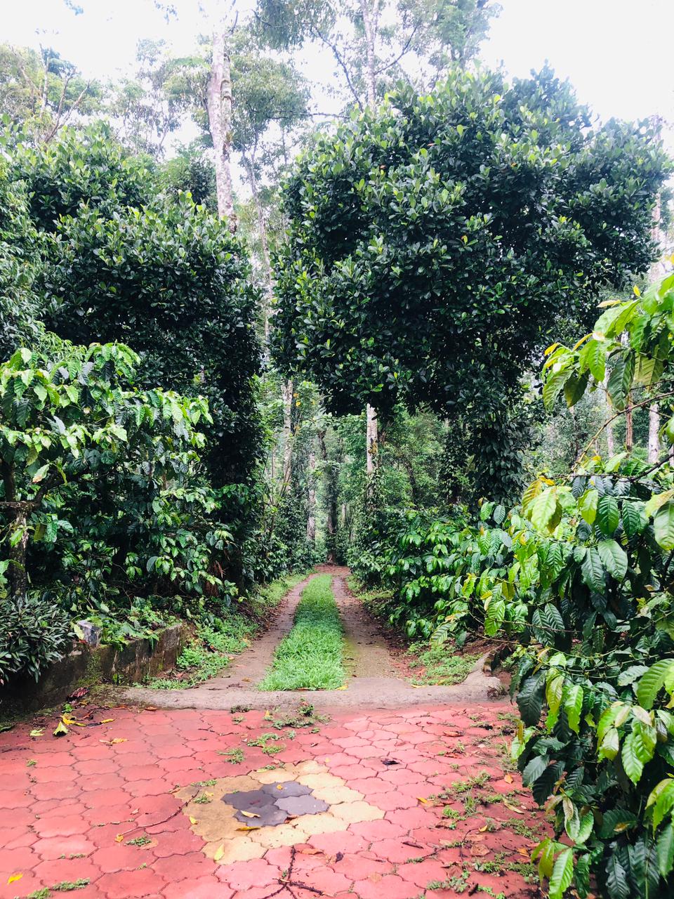 Swapna Estate Stay Coorg - Tap to explore photos