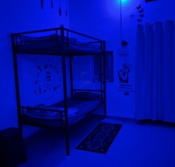 Dorm Beds