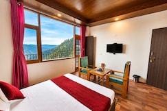 ROYAL CEDAR, Solan