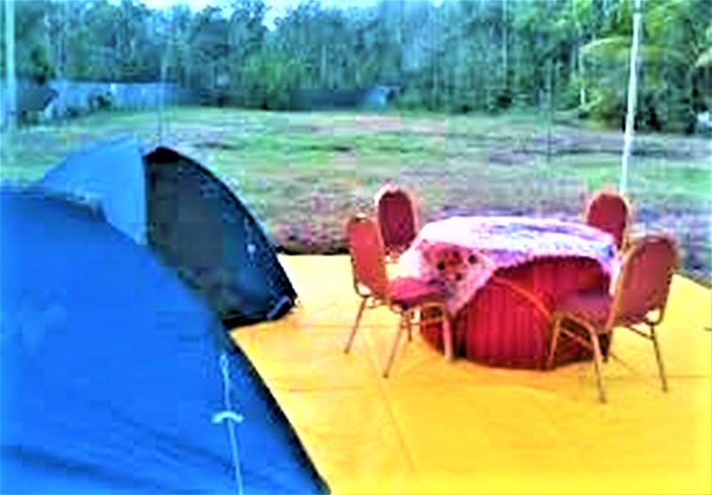 Coorg Coffee flower Tent house - Tap to explore photos