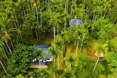 Vintage Garden Resort | Stay Amidst Bamboo Forest, Wayanad