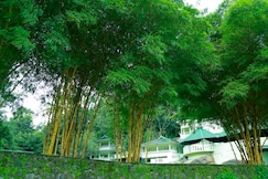 Aruvi Resort, Munnar