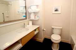 HAMPTON INN SUFFOLK VA, Suffolk