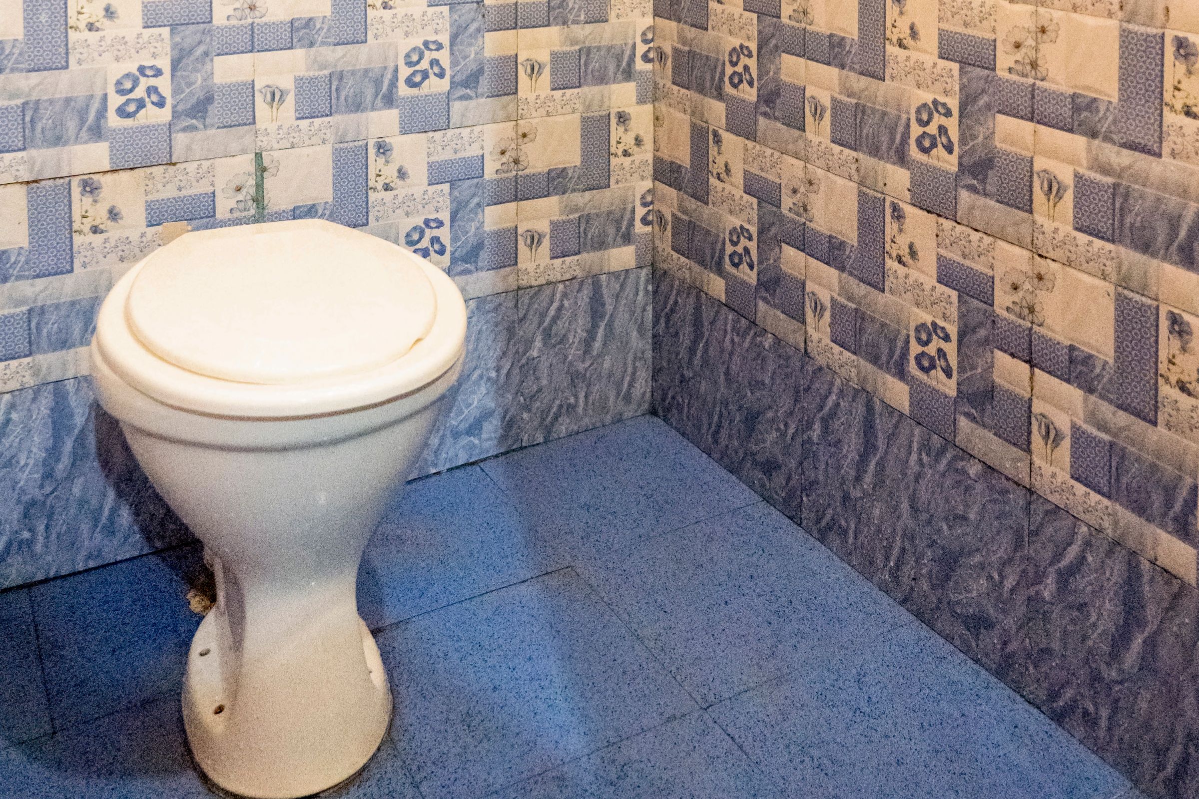 Samaira Guest House - Tap to explore photos