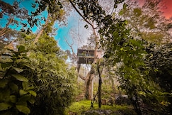 Silver Trees Tree House, Munnar