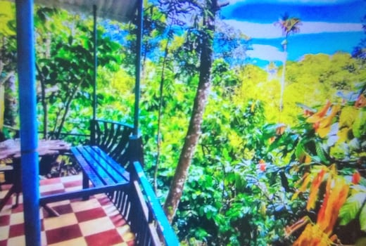 Green portico cottage munnar