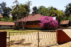 Woodside Homestay | Rooms & Kitchen, Wayanad