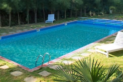 NEST N MIST, Wayanad