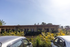 Monkey Resort, Bichhiya