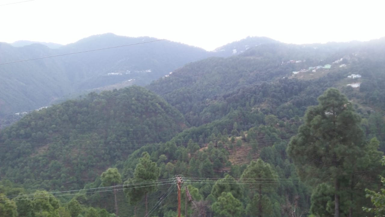 Randhawa Guest House - Tap to explore photos
