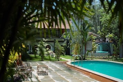 Orchid Trial by Zeebull, Wayanad