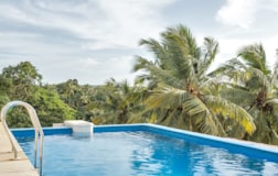 Swimming Pool 1