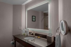 DoubleTree by Hilton Burlington Vermont, Windsor