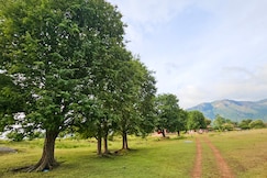 Nature Full Masanagudi, Gudalur