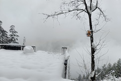 The Cozi Camps, Bir Billing