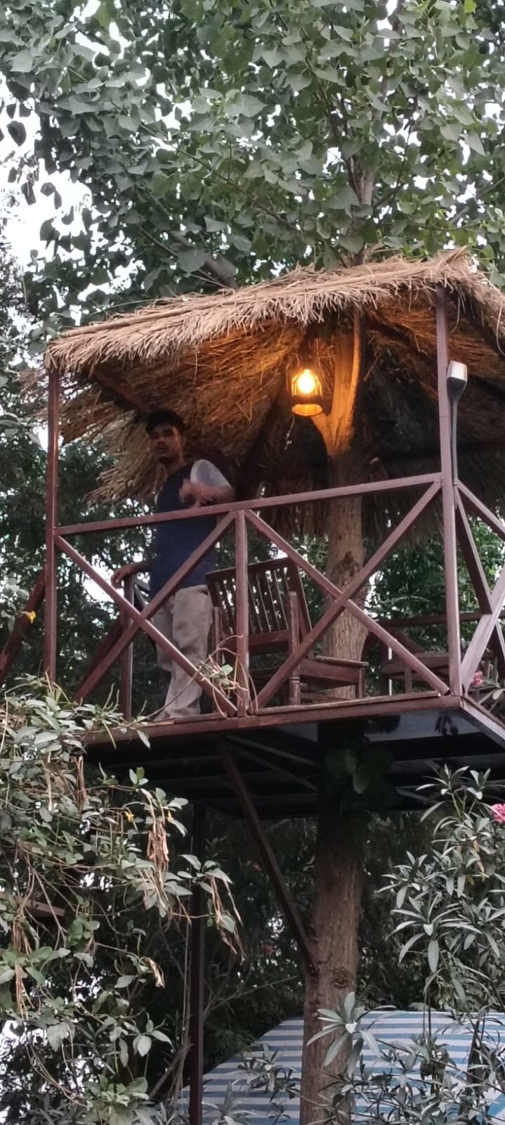 Lush green Exclusive FarmHouse stay mohali  - Tap to explore photos