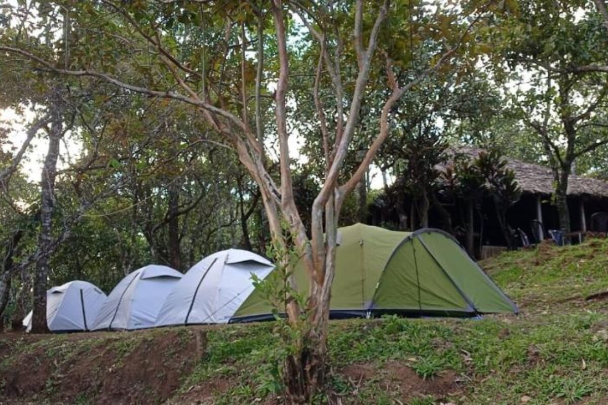 Mathikettan Shola Camp - Tap to explore photos