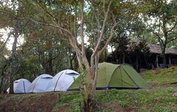 Dome Tent