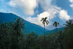 Coffee Mount Homestay Near Paithalmala Kappimala, Talipparamba