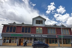 The Apricot Palace Hotel and Restaurant, Sonmarg
