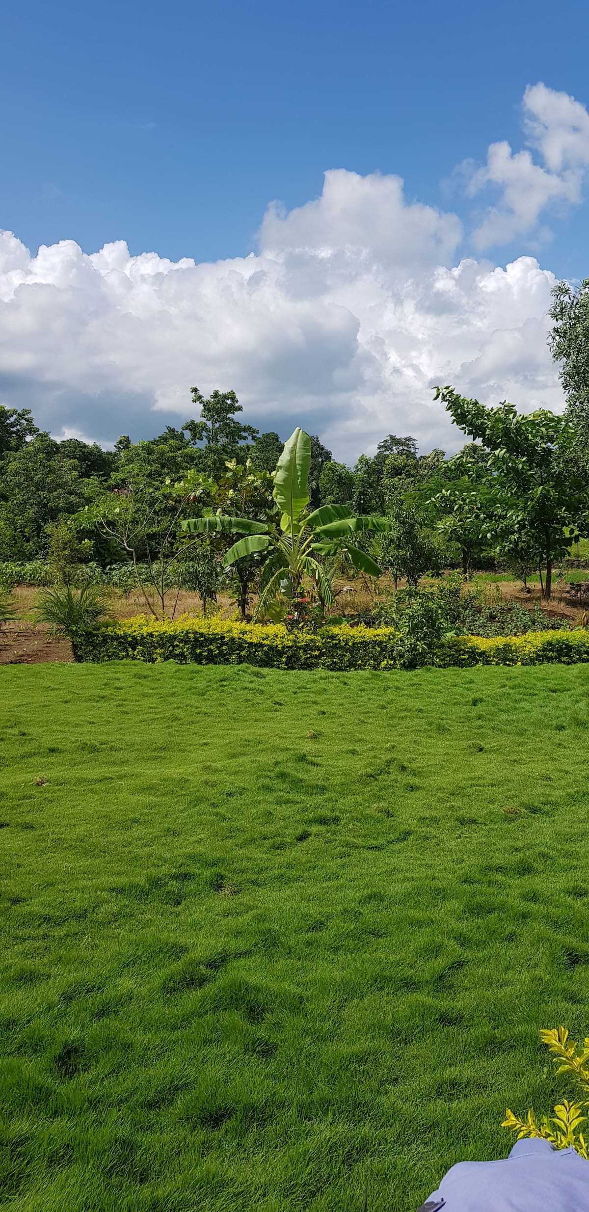 Divine Farms near Imagica-1 BHK Farm House - Tap to explore photos