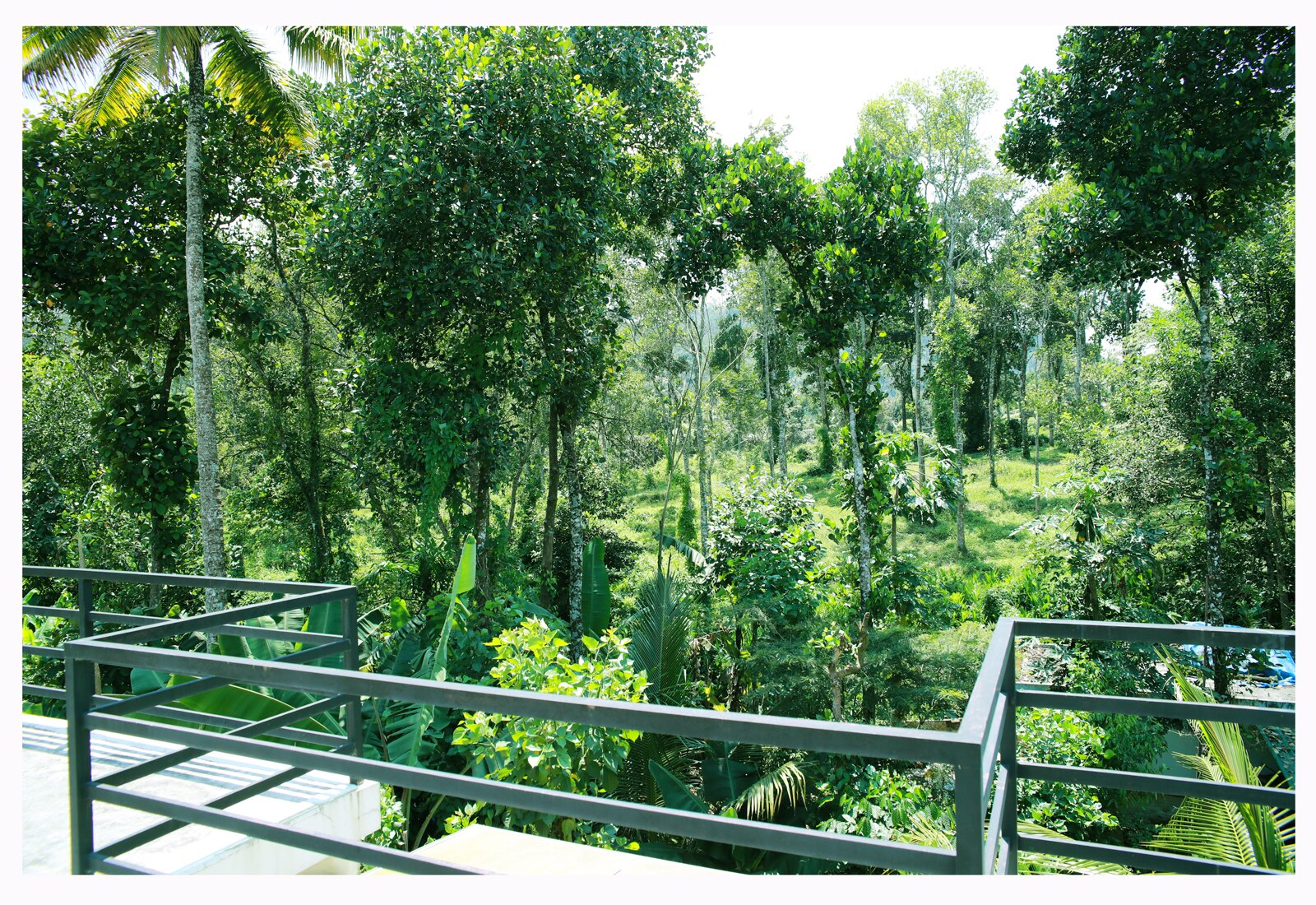 Periyar Villa Home Stay , Thekkady - Tap to explore photos