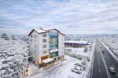 Batra Hotels & Residences (Pure Vegetarian Hotel), Srinagar