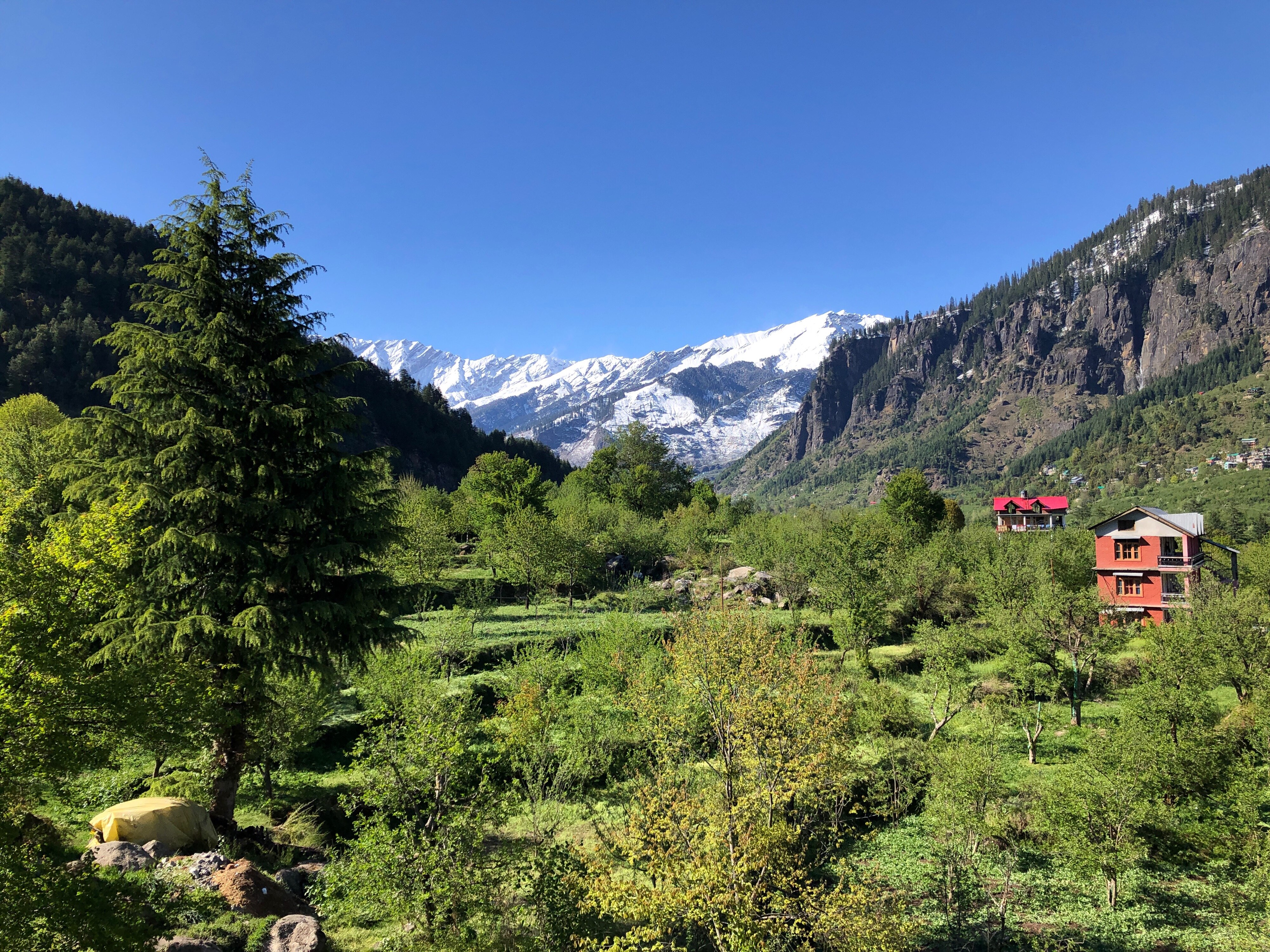 Red House Cafe Manali Guest House Free Cancellation Price Address Reviews