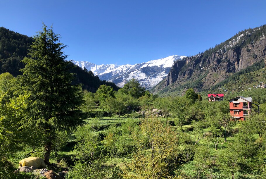 Red House Cafe Manali Guest House Free Cancellation Price Address Reviews Red House Cafe Manali Guest House Free Cancellation Price Address Reviews