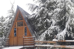 Jungle Creek Shanghar, Sainj