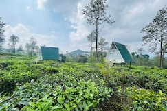 Estate Inn | A Frame in Tea Valley, Wayanad