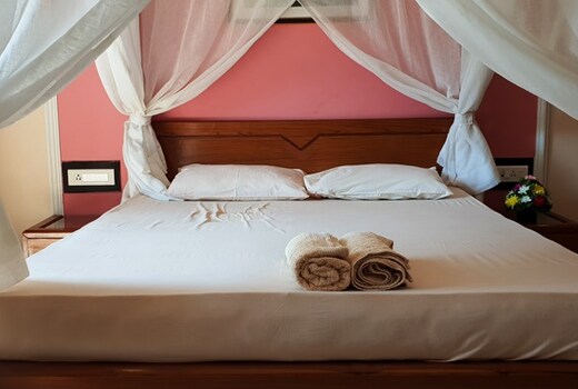 Romantic Luxury 3 BHK Villa