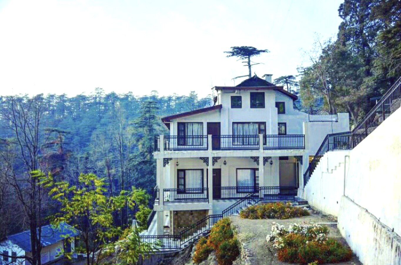 Pine Cottage Estate By Boho Shimla Cottage Price Address Reviews