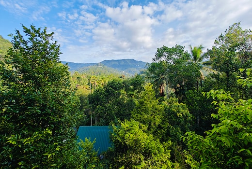 Luna Villa 4BH