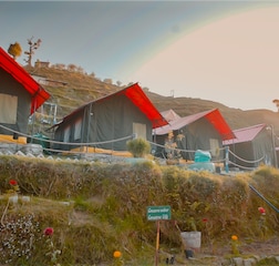 Swiss Camps