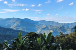 Green Hill Organic Stay, Kalimpong