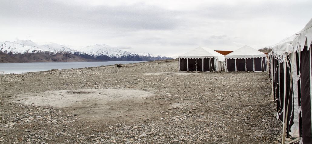 Wild Camp Pangong Pangong Free Cancellation Price Address Reviews
