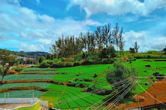 Peace Ark Hill View, Ooty