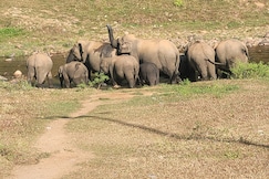 Black berry villa mankulam, Munnar