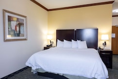 Hampton Inn by Hilton Alice, Bee